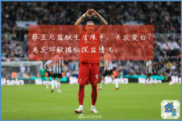 蔡正元监狱生活艰辛，头发变白？老友邱毅揭秘探监情况。