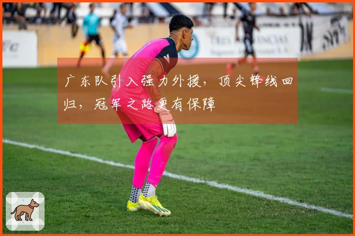 广东队引入强力外援，顶尖锋线回归，冠军之路更有保障