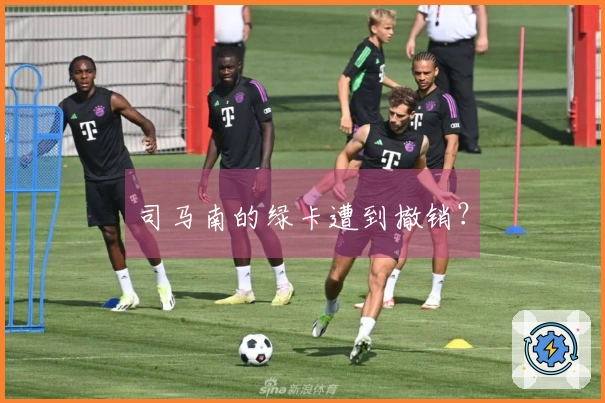 司马南的绿卡遭到撤销？