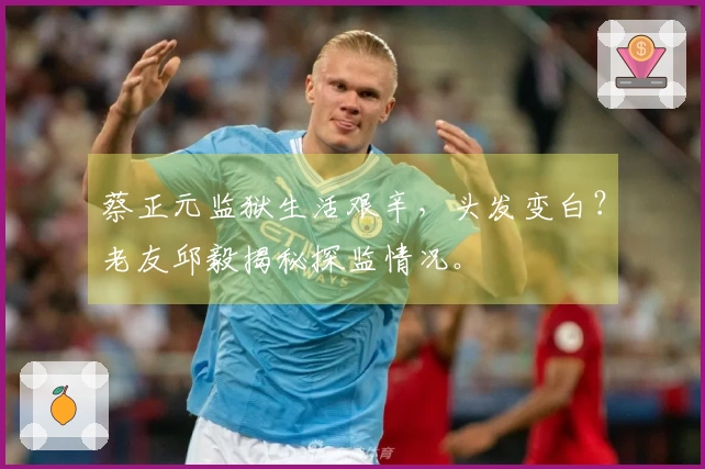蔡正元监狱生活艰辛，头发变白？老友邱毅揭秘探监情况。